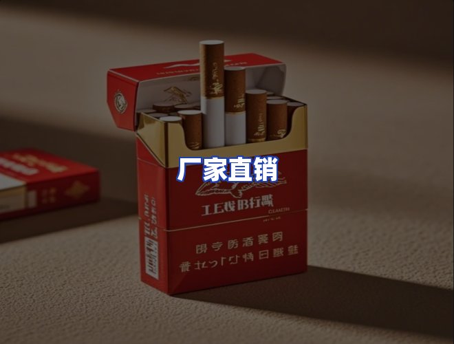专业团队